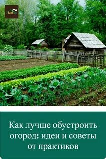 Грядки во сне женщине