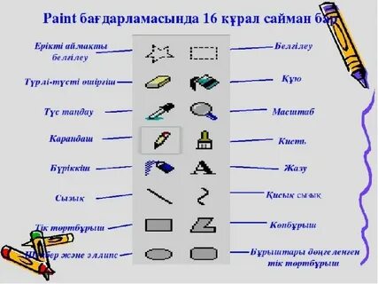 Транссексуалды жыныстық қатынасты қараңыз