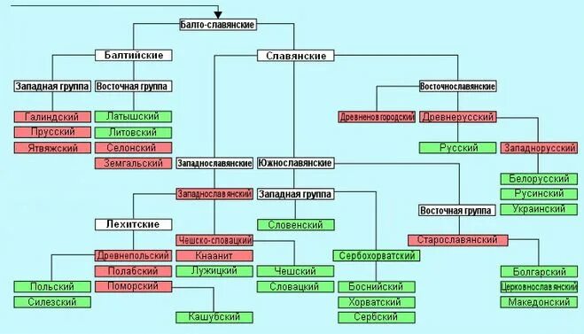 Славянская ветвь языков