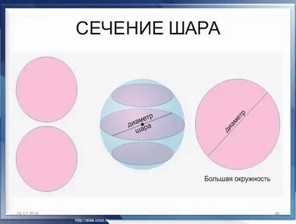 Круглое туловище