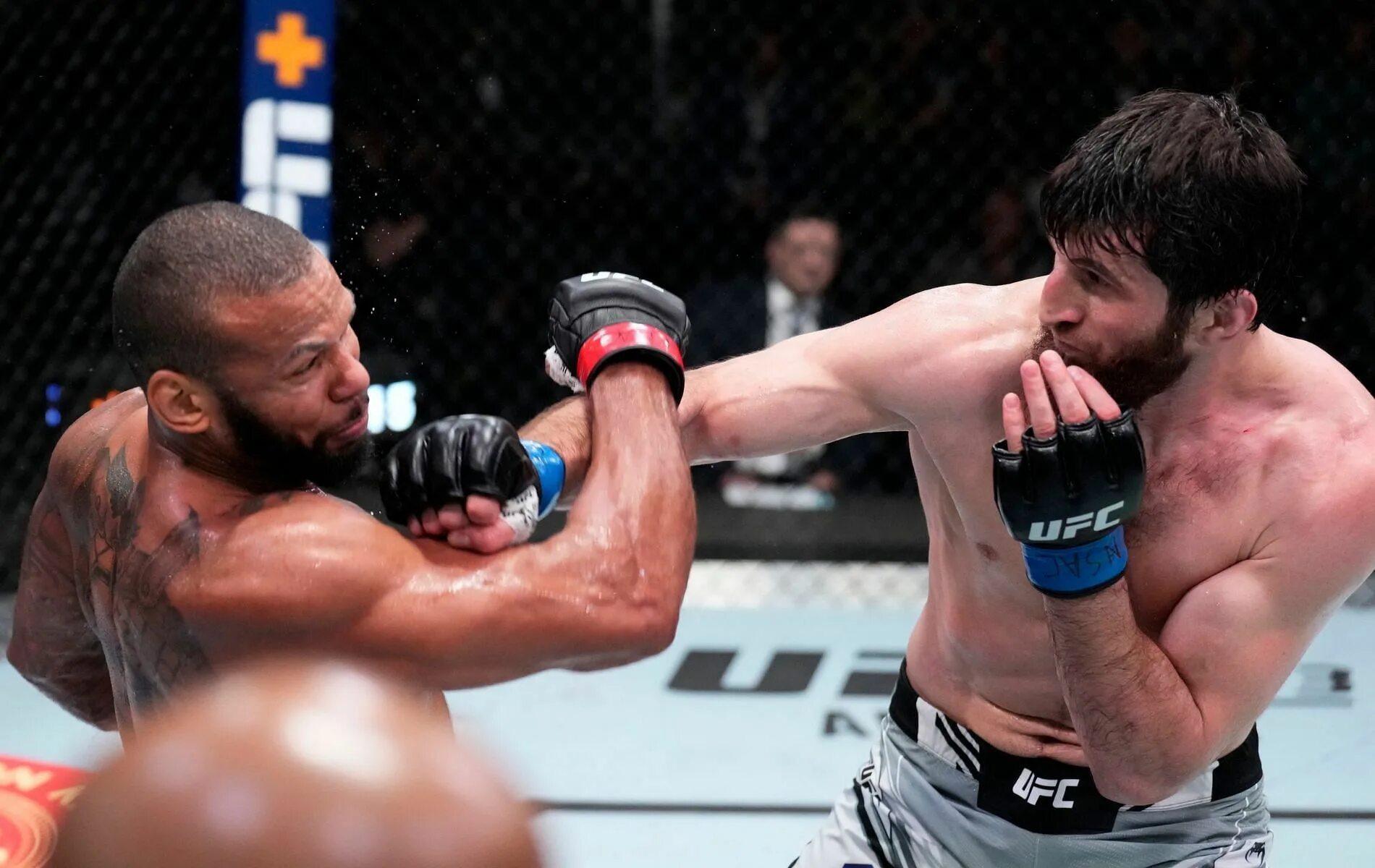 Анкалаев следующий бой. Анкалаев боец ufc. магомед анкалаев бой 2025. магомед анкалаев юфс.