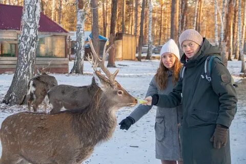 Оленья ферма нижний новгород