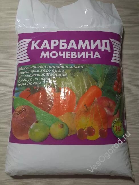 Мочевина для огурцов. Мочевина огурцам. Мочевина огурцам. Удобрение для огурцов. Огурцы подкормка.