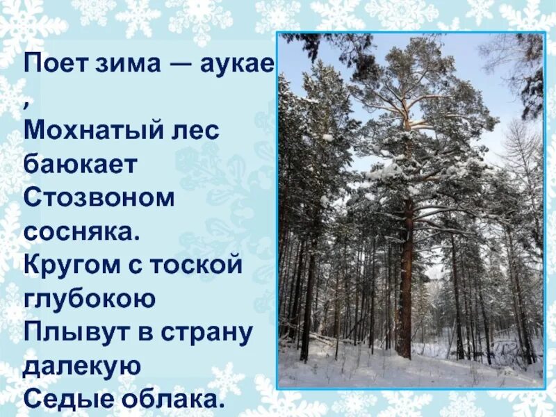 Выписать глаголы из стихотворения поет зима аукает. Есенин мохнатый лес баюкает Стозвоном. Есенин мохнатый лес. Есенин Стозвоном сосняка. Стихотворение Есенина мохнатый лес.