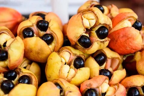 Cane fruit