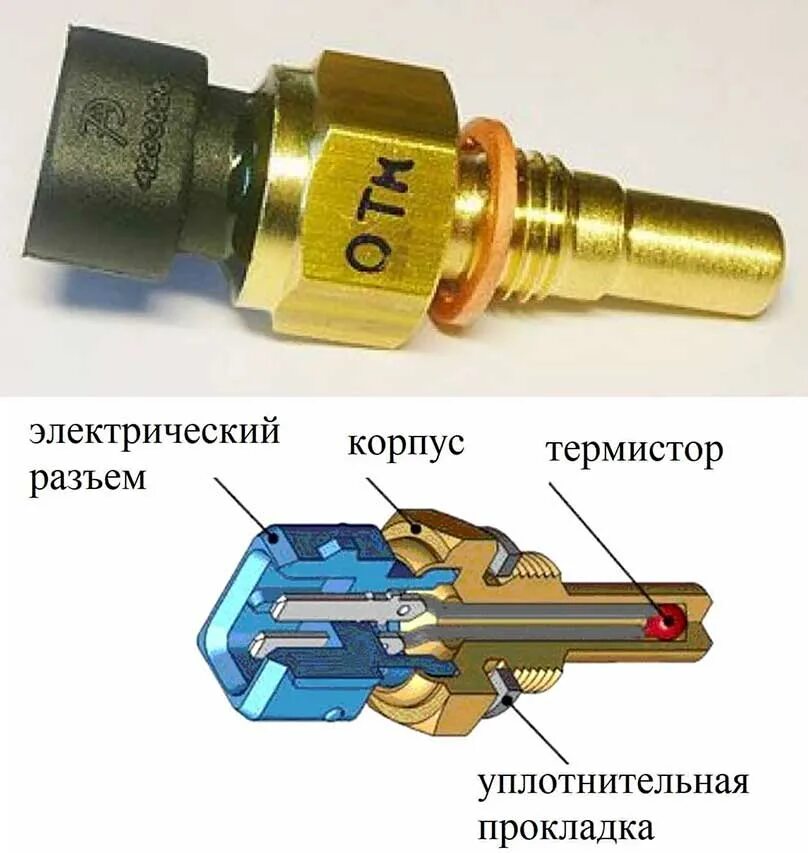 ВАЗ датчик температуры охлаждающей жидкости устройство двигателя. Полярность датчика температуры ВАЗ 2110. Датчик температуры охлаждающей жидкости 2105. Датчик температуры охлаждающей жидкости на ВАЗ-2.