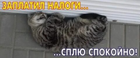 Спите спокойно ошибка не повторится