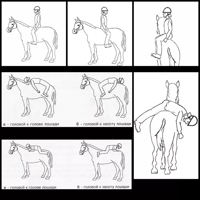 Урок кона. Иппотерапия упражнения. Упражнения по иппотерапии для детей. Упражнения на лошади. Иппотерапия комплекс упражнений.