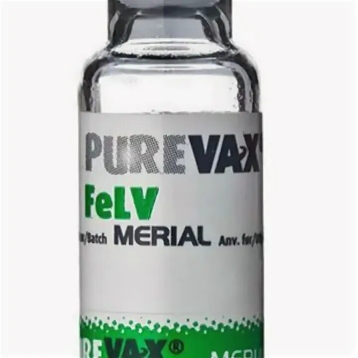 Производитель вакцины пуревакс. Пуревакс фелв вакцина для кошек. Purevax rcpch вакцина для кошек. Производитель вакцины пуревакс. Пуревакс спб.