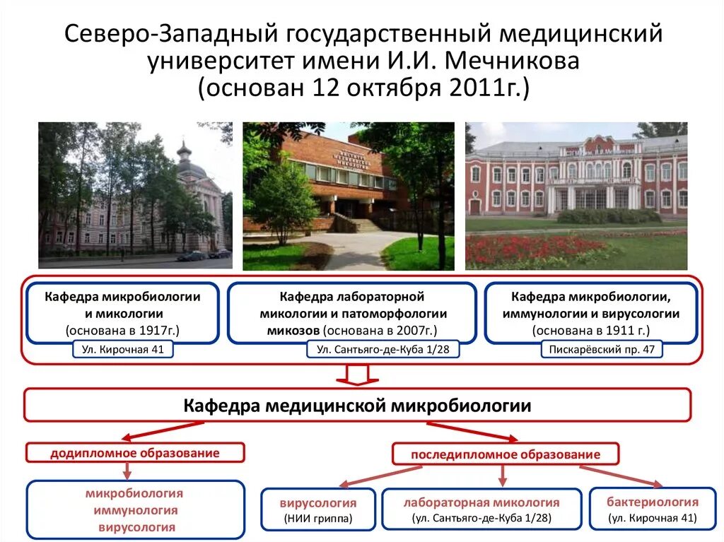 Поступи мечникова