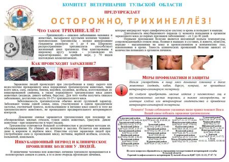 Болезни через мясо