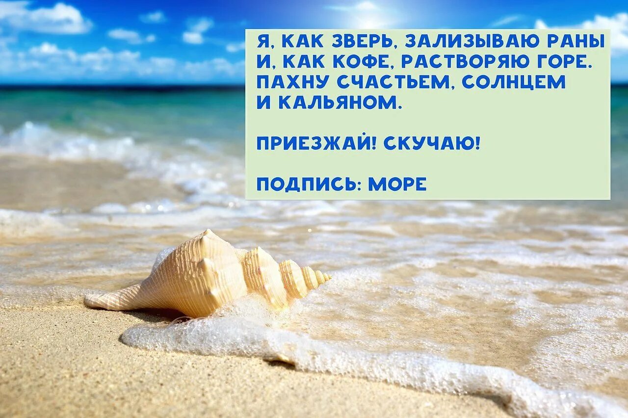 Лето забери туда где море море