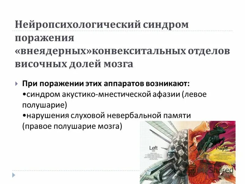 Синдромы поражения височных отделов. Очаговые симптомы поражения височной доли мозга. Симптомокомплексы поражения височной доли. Синдромы поражения лобных долей мозга. Синдромы поражения височных отделов.