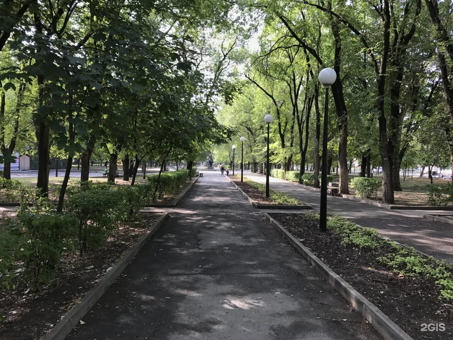 Парк горького ростов. Центральный парк горького ростов на дону. Центральный парк горького ростов на дону. Ростов на дону сквер. Парк г ростова на дону.