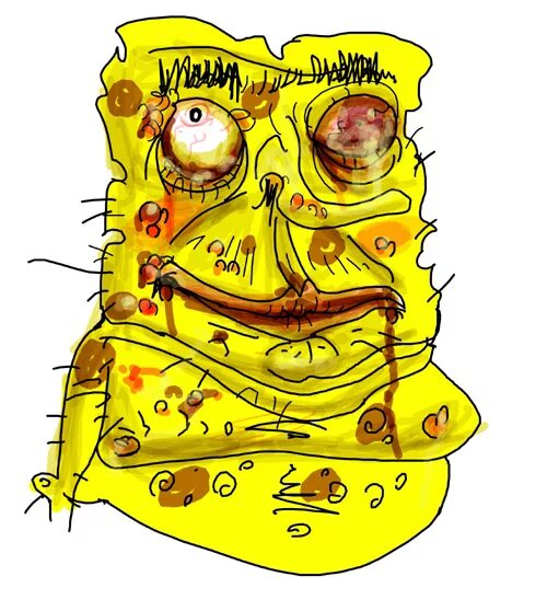 Bob r