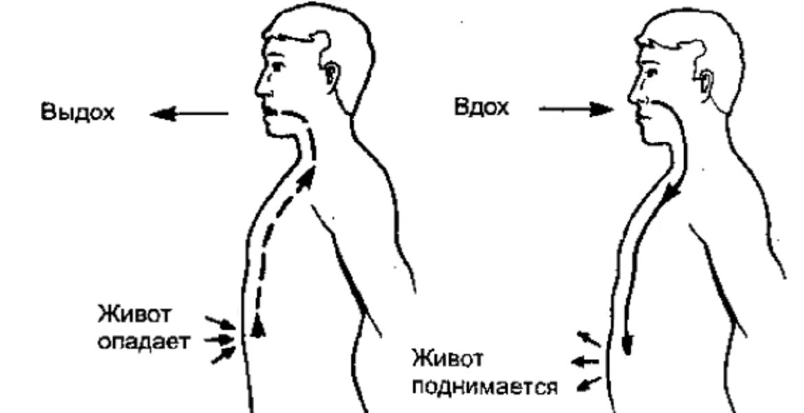 Сделать глубокий вдох выдох. Правильное дыхание. Схема правильного дыхания. Правильный вдох и выдох. Неправильное дыхание.