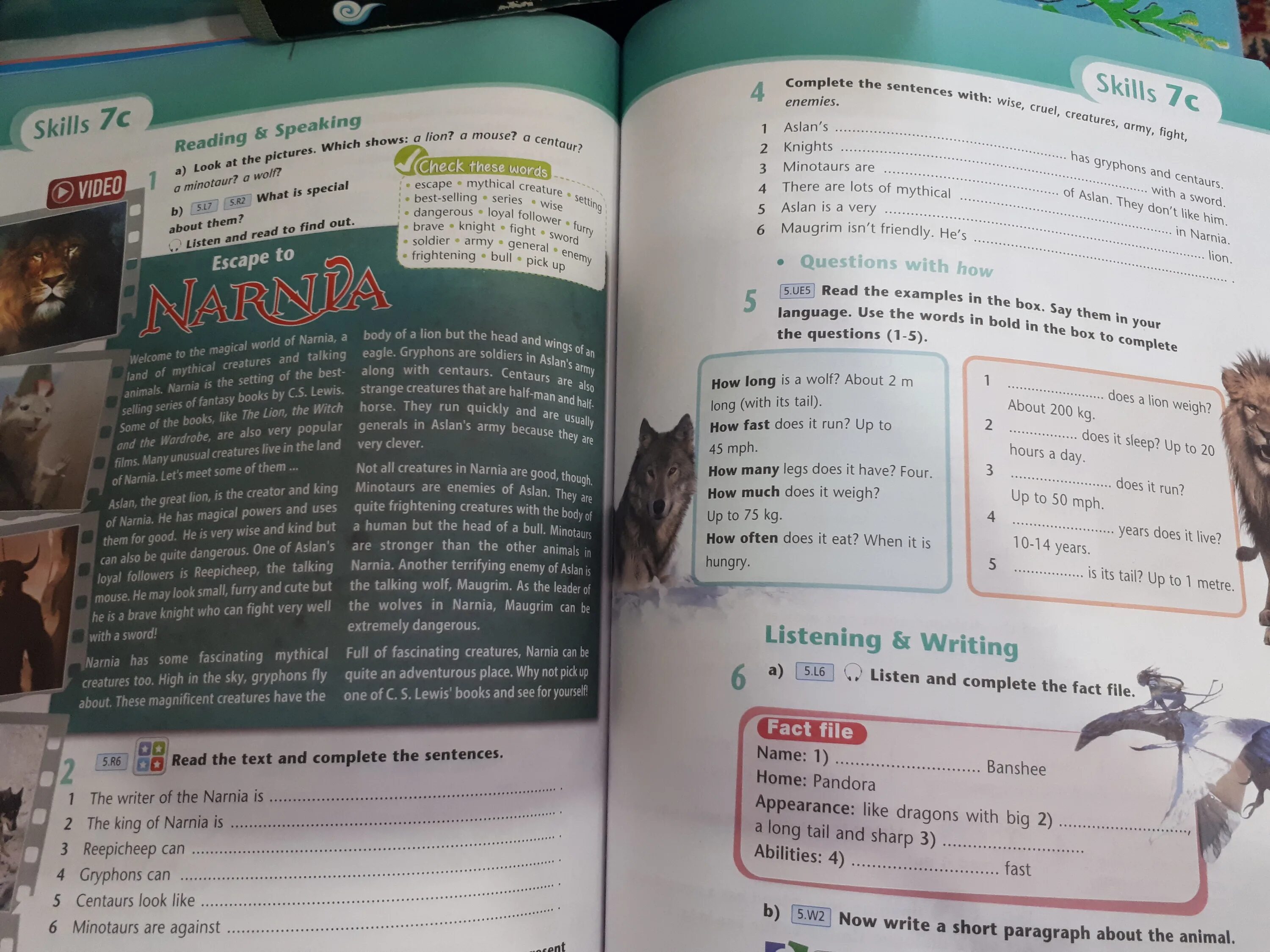 Complete the paragraph. Read the text and complete the sentences. read and complete the sentences. read and write the name of the animal. complete the names of the animals 5 класс ответы.