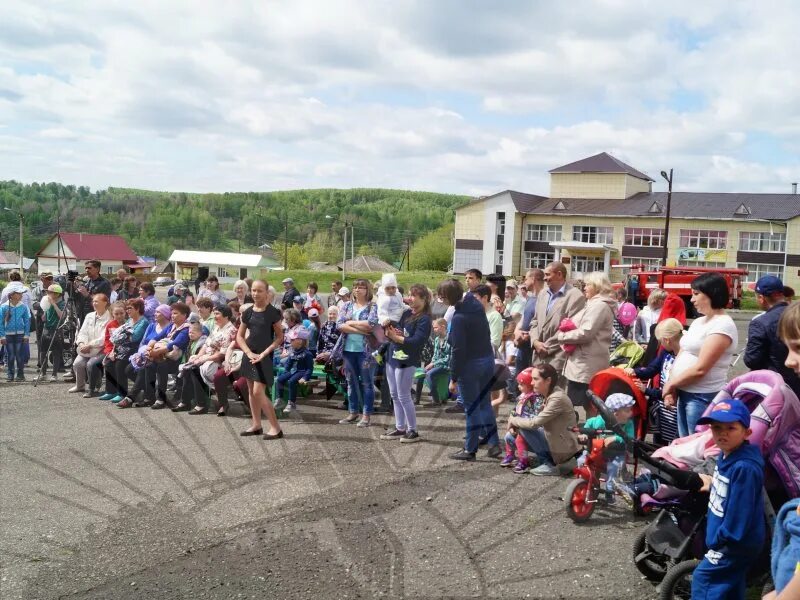 Ельцовка Алтайский край. Ельцовка Ельцовский район Алтайский. Село Пуштулим Алтайский край Ельцовский район. Село Ельцовка Ельцовского района. Прогноз ельцовка алтайский край