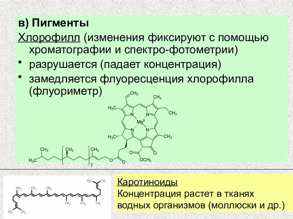 Хлорофилл осуществляет связь. Пигмент хлорофилл. разрушение хлорофилла. пигменты хлорофилл и каротиноиды. пигменты хлорофилла таблица.