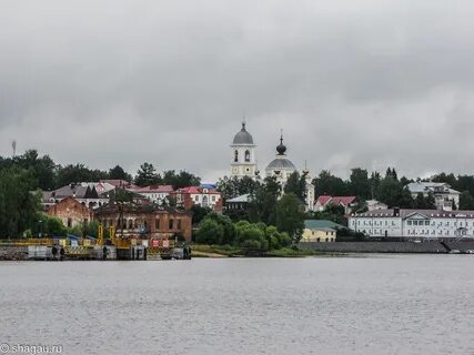 Мышкин телефон