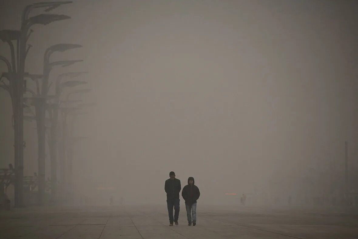 Смог встретить. Смог в темноте. смог в парке. образ smog. смог ас арт.