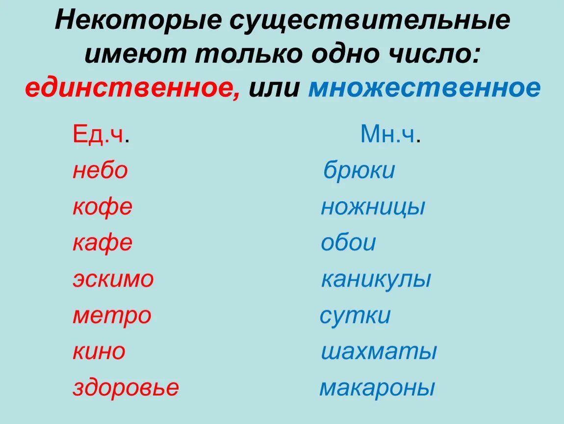 Шерсть какое число. Сущ которые имеют форму только единственного и множественного числа. Существительные которые имеют форму только единственного числа. Существительное которое имеет форму только единственного числа. Имя существительное только форма множественного числа.