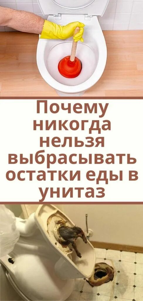 Почему нельзя выливать. Пылесос для сбора ртути. Почему нельзя выливать. Автаркия это в философии. Растительное масло в раковину.