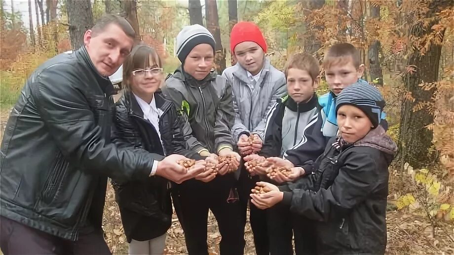 сосновоборск пензенская область площадь. сосновоборский лесной колледж пензенская область. моу сош сосновоборск пензенская область. сосновоборск пензенская область. сосновоборск пензенская область.