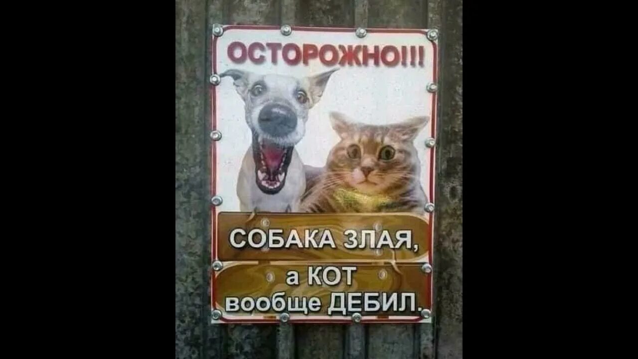 Осторожно дебил. Осторожно придурок. Шеврон орудуют дебилы. Осторожно дебил. Шевроны шуточные.