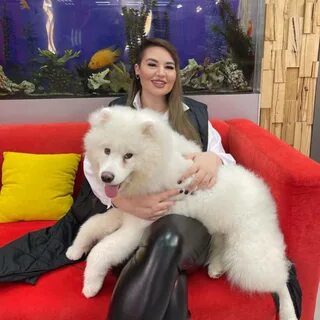 Черно дом 2 последние новости шлок