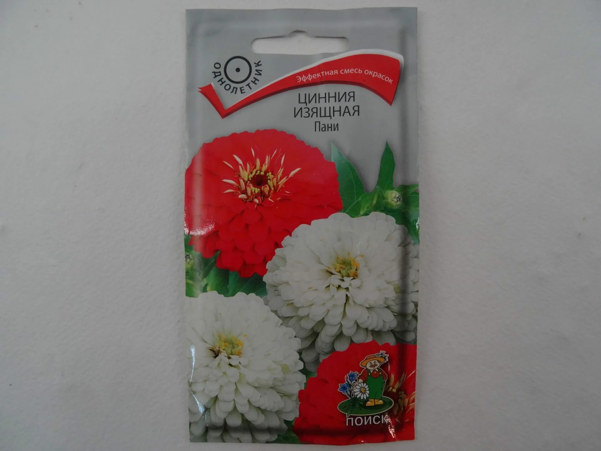 семена фирмы поиск. семенам фирмы поиск. семена фирмы клаус. семена фирмы поиск. семена фирмы.