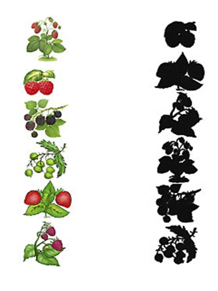 Ягоды задания. Задания на тему ягоды. Задания для детей на тему ягоды. Тематическое занятие ягоды. Найди ягодка