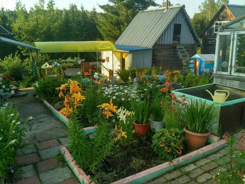 Родничок ачинск. Родничок Пенза. Садовое товарищество Родничок. СНТ Родничок Ачинск. СНТ Родничок Тюмень.