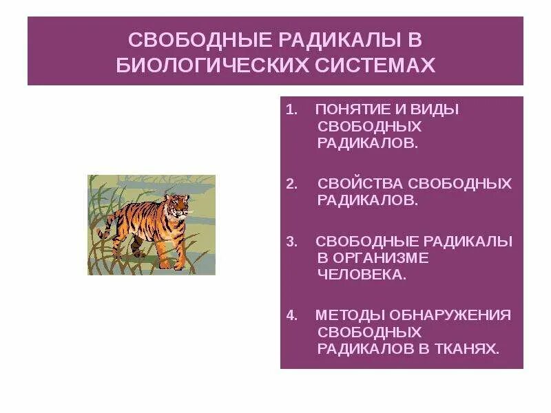 Перечислить биологические системы. Свободные радикалы в биологических системах. Биологические системы презентация. Биологические системы и их свойства. Основные свойства биосистемы.