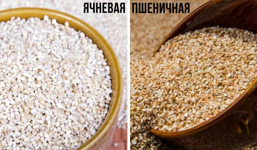 Ячневая крупа. Ячневая каша из чего. Крупа ячменная ячневая. Можно ли ячневую крупу собакам. Ячневая крупа.