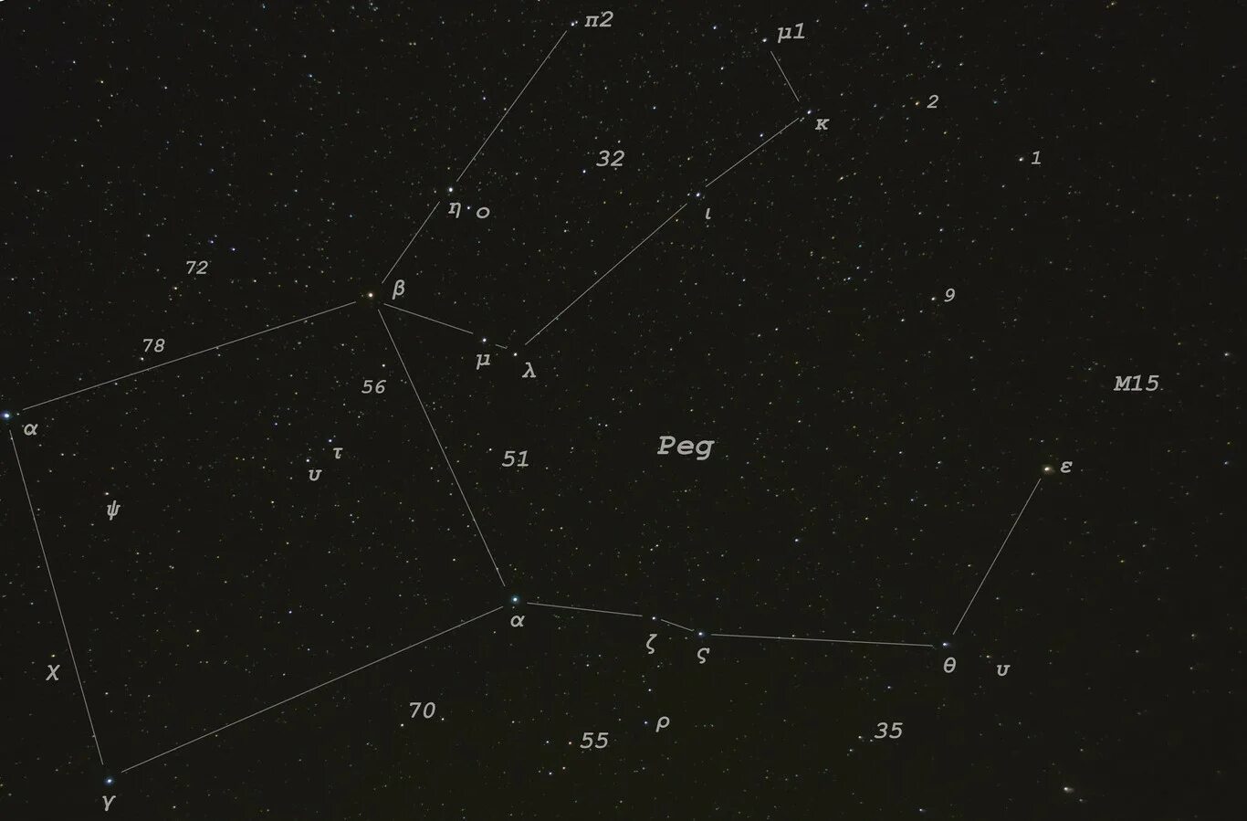 Созвездие в контакте. Созвездие Пегас Эниф. Созвездие Пегас с названиями звезд. Созвездие Пегас самая яркая звезда. Созвездие Пегас схема с названиями звезд.