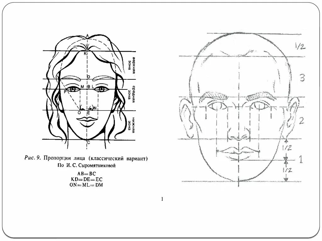 Лицо рисунок схема. Схема пропорций головы человека. Пропорции лица человека схема. Портрет основные пропорции. Портрет пропорции лица человека.