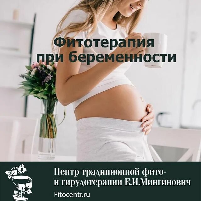 зверобой в медицине. зверобой трава инструкция по применению. можно ли беременным зверобой. зверобой апомиксис. можно ли беременным зверобой.