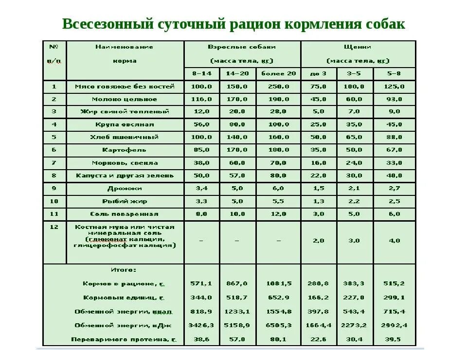 Щенок 6 месяцев кормить сколько