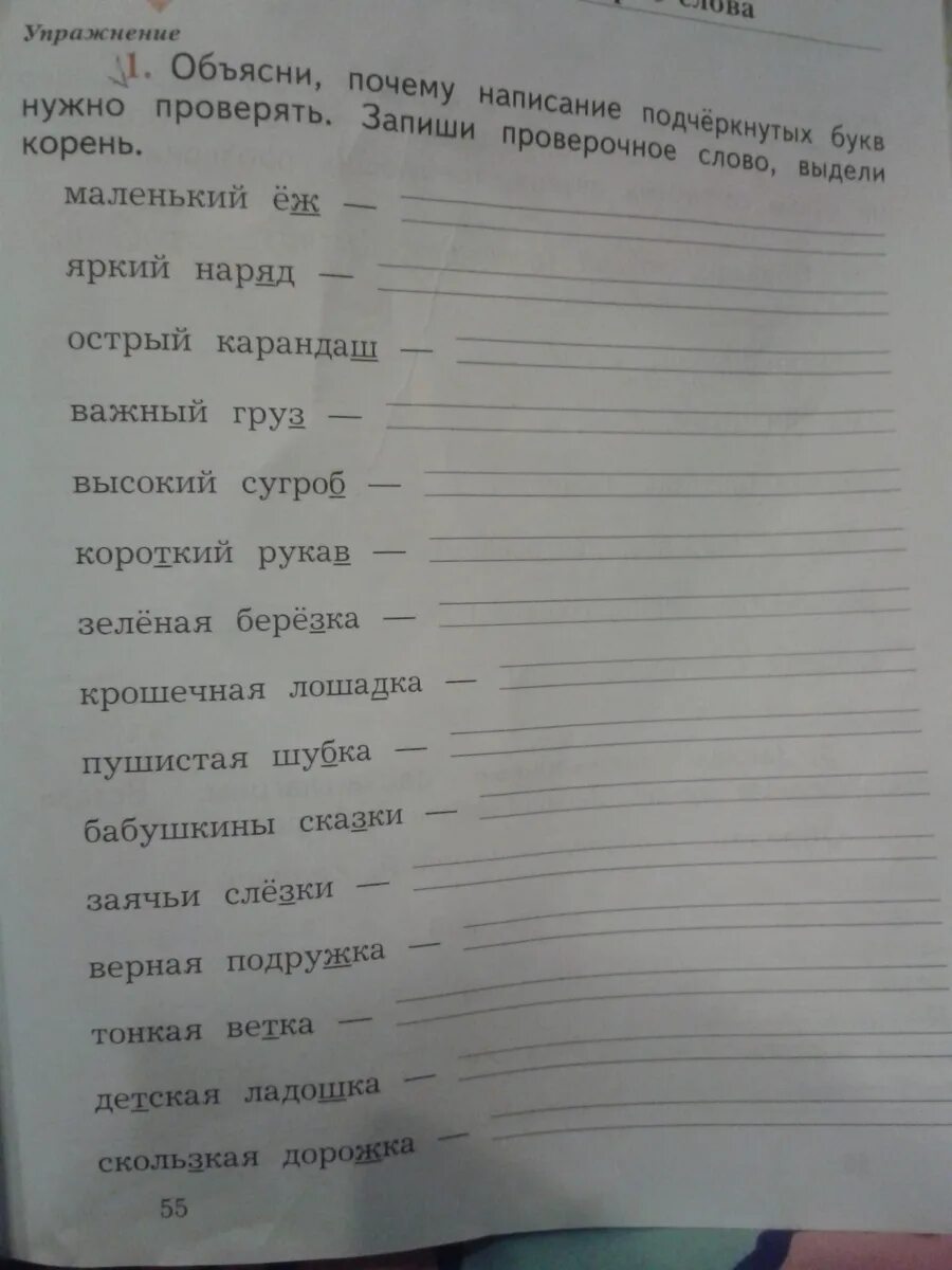 Прочитай почему написание выделенных букв в словах. Объясни почему написание подчеркнутых букв нужно проверять. Объясни написание подчеркнутых букв поставь знак. Запиши проверочные слова. Объясните написание выделенных букв.