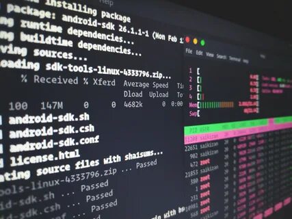 Linux бинарный файл