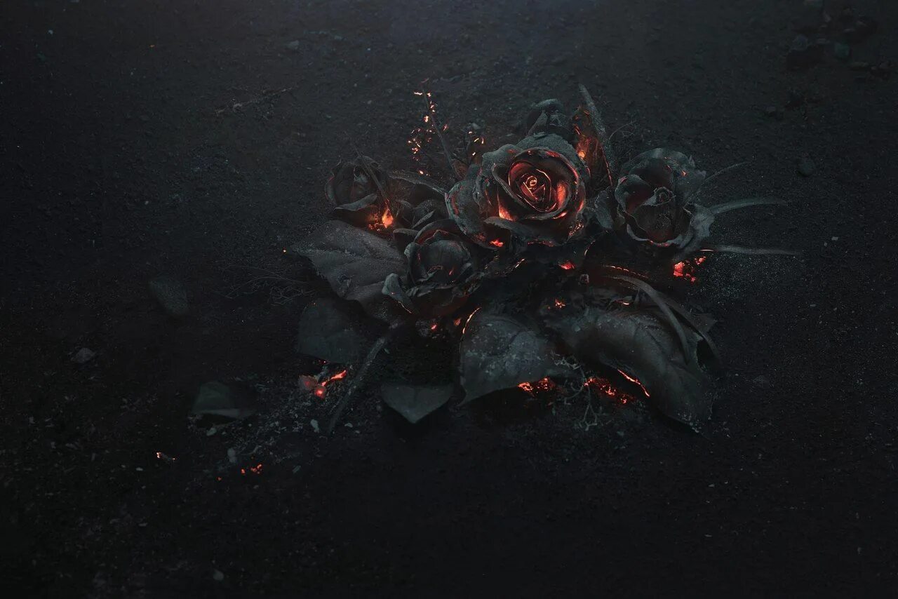 Burnt roses