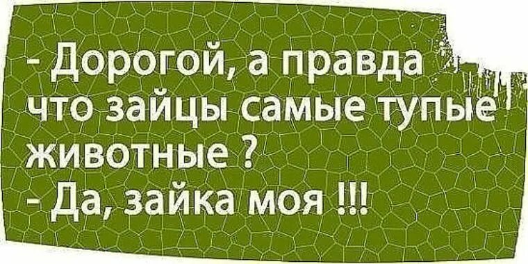 Глупую ю. Смешные тексты наоборот. Прочитай наоборот приколы. Слова наоборот приколы. Смешные фразы читающиеся наоборот.