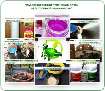 Обработка почвы в теплице осенью марганцовкой