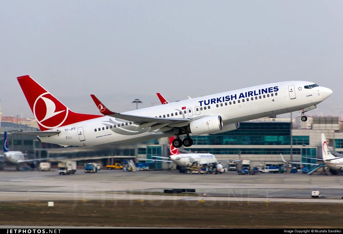 737 800 турецкие авиалинии. Boeing 737-800 turkish airlines. боинг 737-800 туркиш эйрлайнс. boeing 737 турецкие авиалинии. 737 turkish airlines.