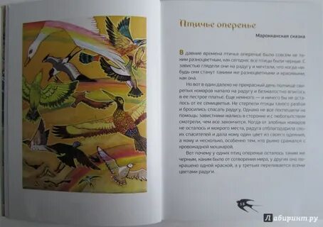 Птичье время