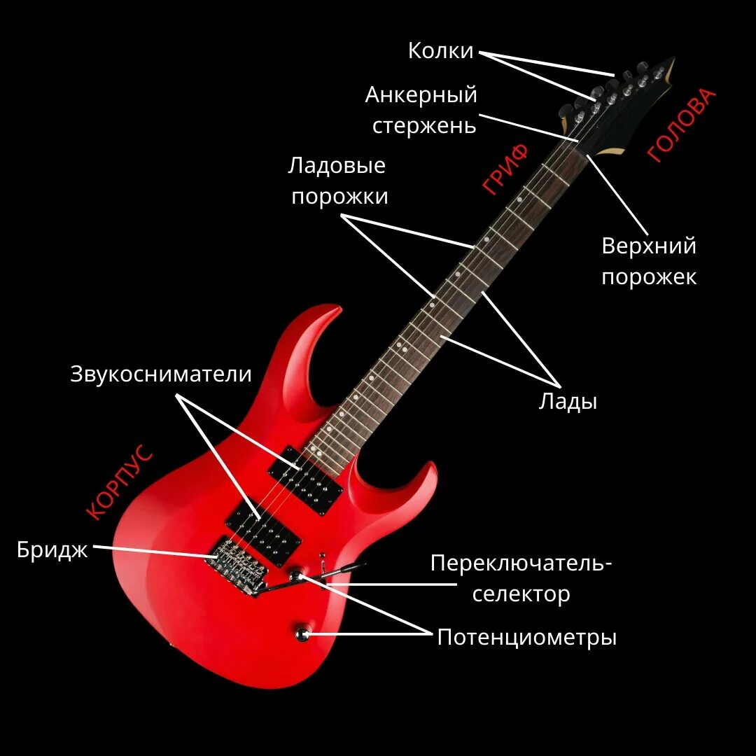 Строение корпуса электрогитары. Строение электро бас гитары. Строение гитары электрогитары. Строение гитарыэдектро.