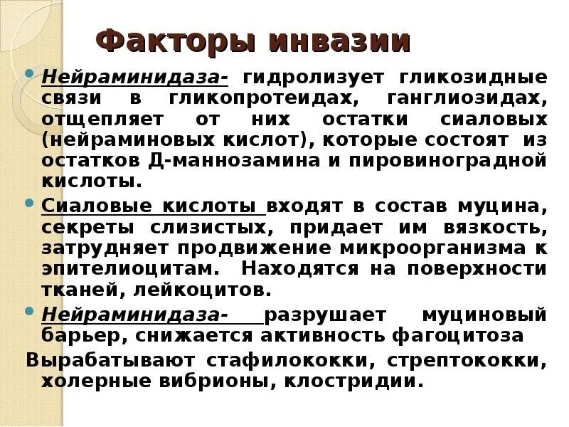 Факторы инвазии бактерий. Факторы содействующие инвазии. Факторы инвазии микробиология. Нейраминидаза бактерий.