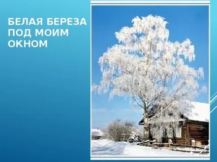 Белая береза на звонок