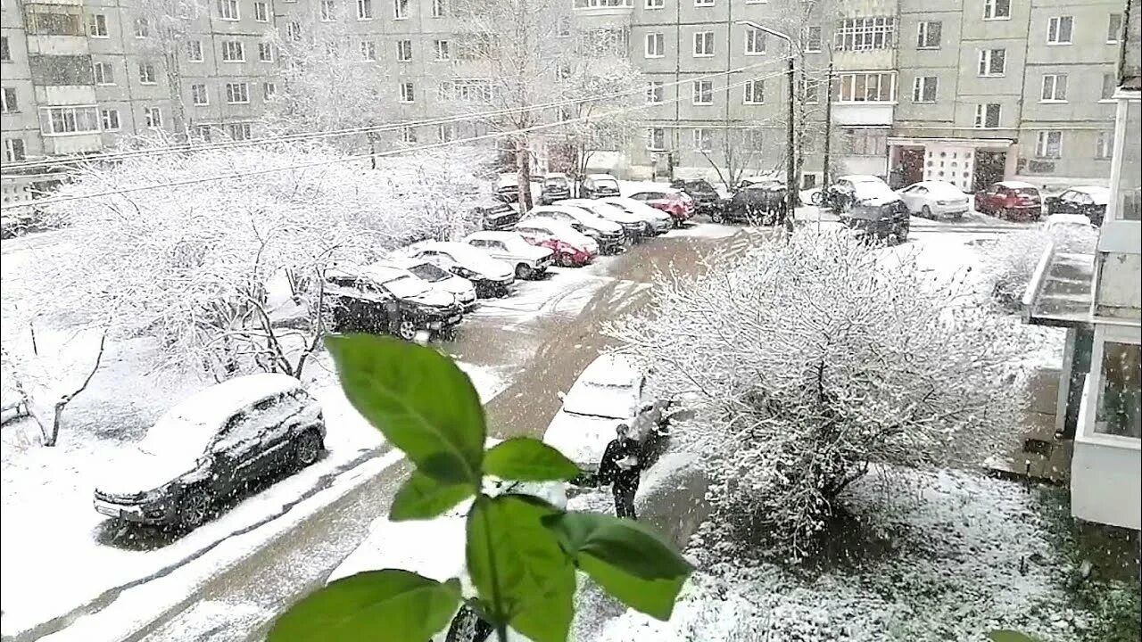 В каком году был снег в июне. Сыктывкар снег. сыктывкар снег 22 мая. снег в конце мая. сыктывкар снег июнь.
